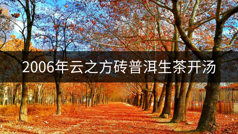 2006年云之方磚普洱生茶開湯