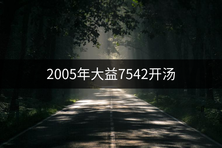 2005年大益7542開湯 2005年大益7542開湯