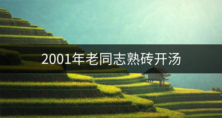 2001年老同志熟磚開湯