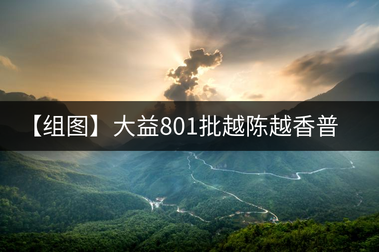 【組圖】大益801批越陳越香普洱熟茶開(kāi)湯