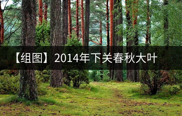 【組圖】2014年下關(guān)春秋大葉開湯