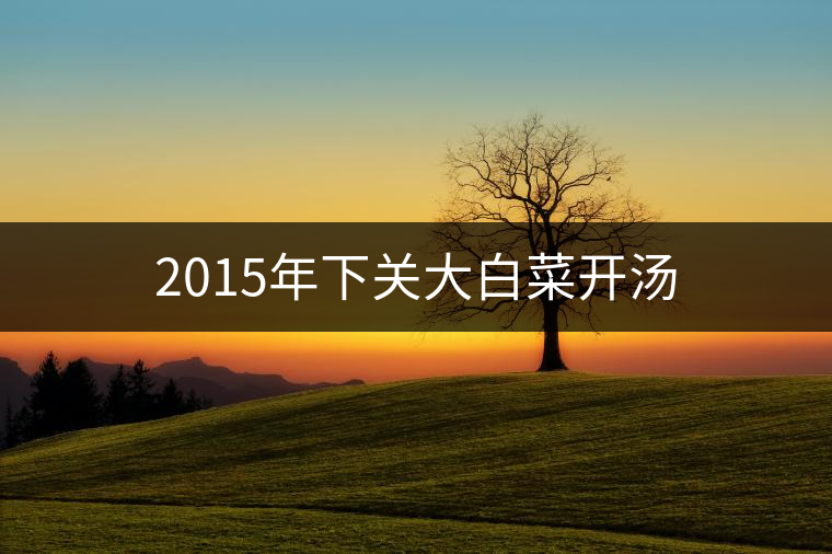 2015年下關(guān)大白菜開湯
