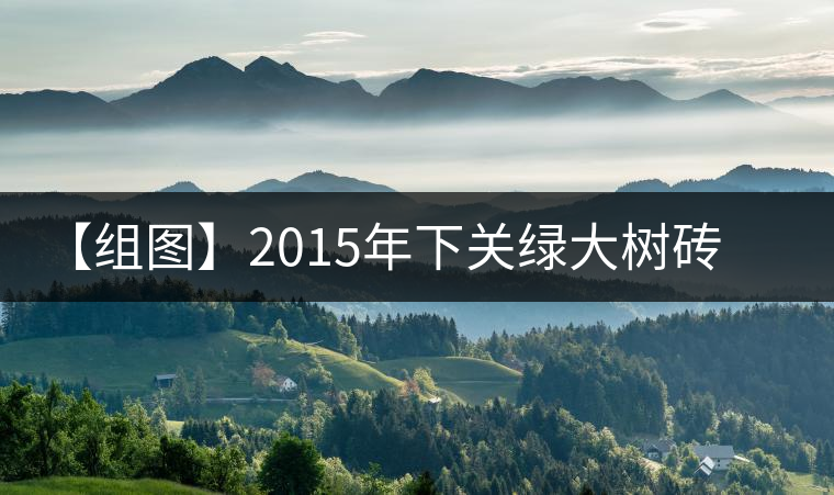 【組圖】2015年下關(guān)綠大樹磚茶開湯