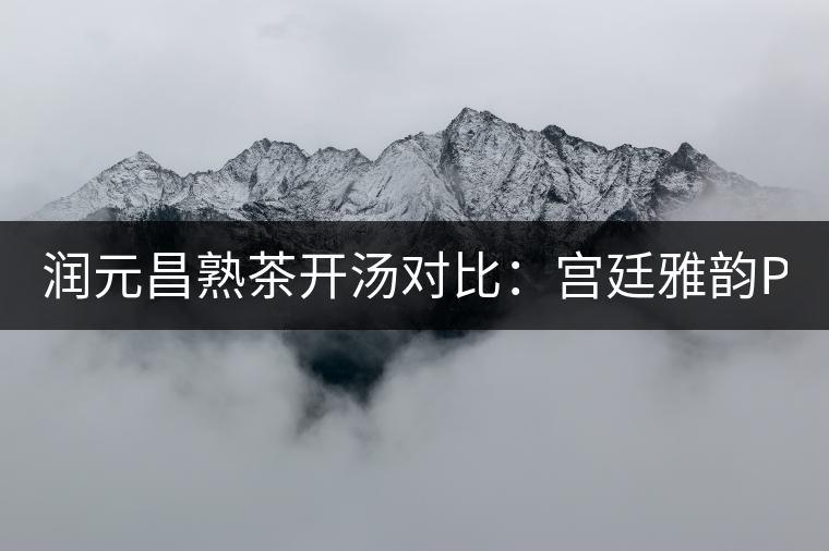 潤元昌熟茶開湯對比：宮廷雅韻PK宮廷貢潤