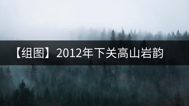 【組圖】2012年下關(guān)高山巖韻餅茶開(kāi)湯