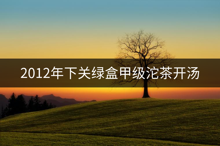 2012年下關(guān)綠盒甲級(jí)沱茶開(kāi)湯 2012年下關(guān)綠盒甲級(jí)沱茶開(kāi)湯
