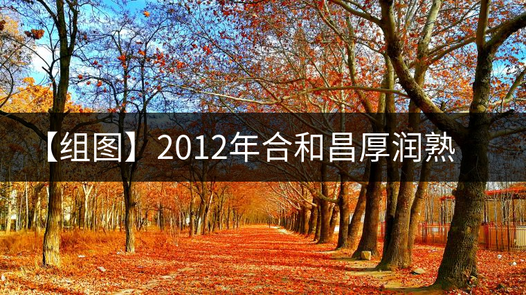 【組圖】2012年合和昌厚潤(rùn)熟餅開湯