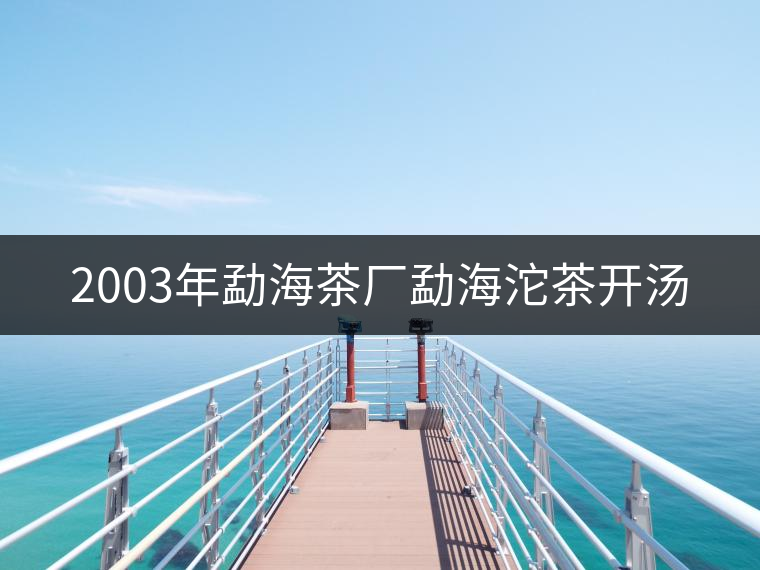 2003年勐海茶廠勐海沱茶開湯 2003年勐海茶廠勐海沱茶開湯