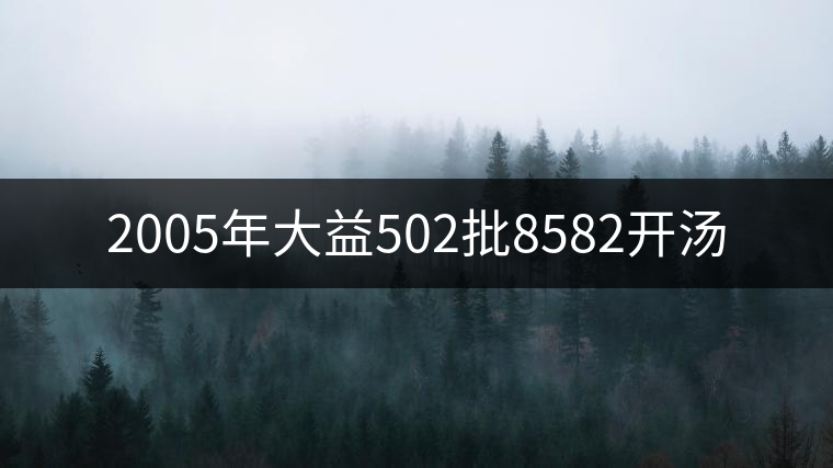 2005年大益502批8582開湯