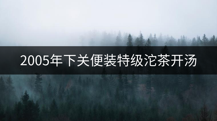 2005年下關(guān)便裝特級沱茶開湯