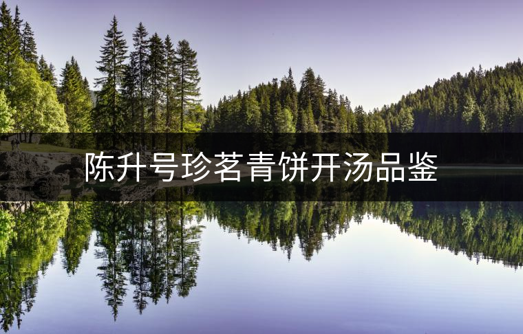 陳升號(hào)珍茗青餅開(kāi)湯品鑒 陳升號(hào)珍茗青餅開(kāi)湯品鑒