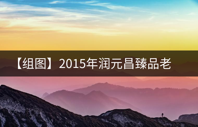 【組圖】2015年潤元昌臻品老茶頭開湯