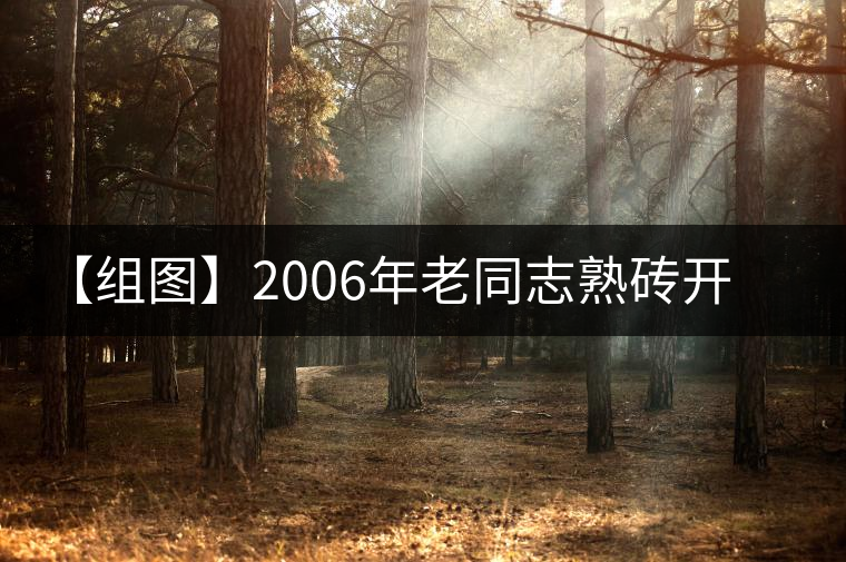【組圖】2006年老同志熟磚開湯品鑒 【組圖】2006年老同志熟磚開湯品鑒