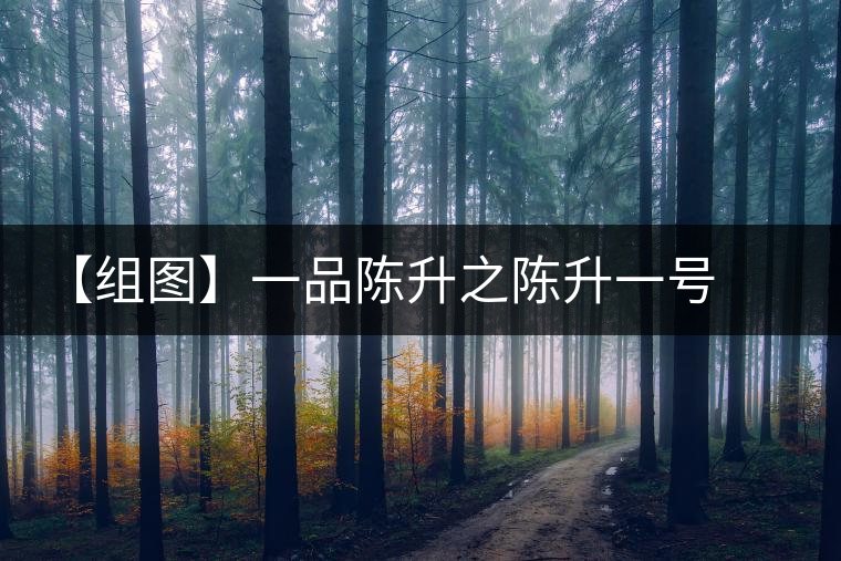 【組圖】一品陳升之陳升一號開湯