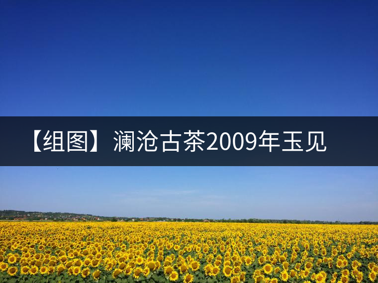 【組圖】瀾滄古茶2009年玉見(jiàn)金牛磚茶開(kāi)湯 【組圖】瀾滄古茶2009年玉見(jiàn)金牛磚茶開(kāi)湯