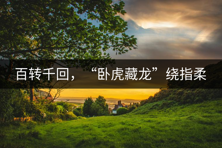 百轉(zhuǎn)千回，“臥虎藏龍”繞指柔