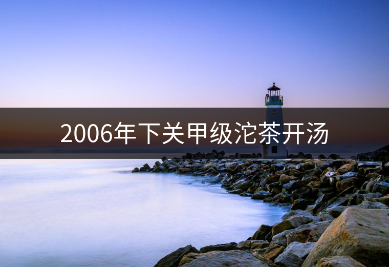 2006年下關(guān)甲級沱茶開湯