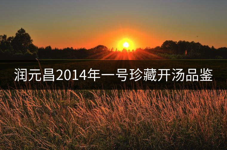 潤元昌2014年一號珍藏開湯品鑒 潤元昌2014年一號珍藏開湯品鑒