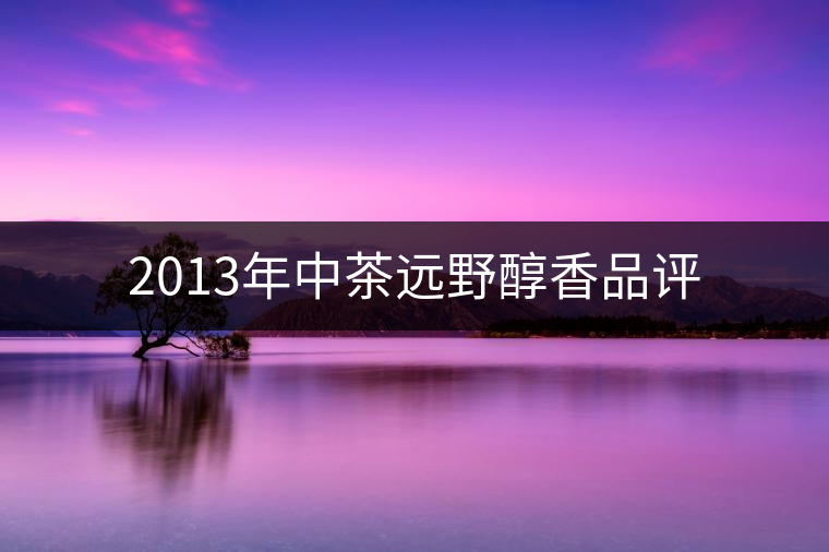2013年中茶遠(yuǎn)野醇香品評 2013年中茶遠(yuǎn)野醇香品評