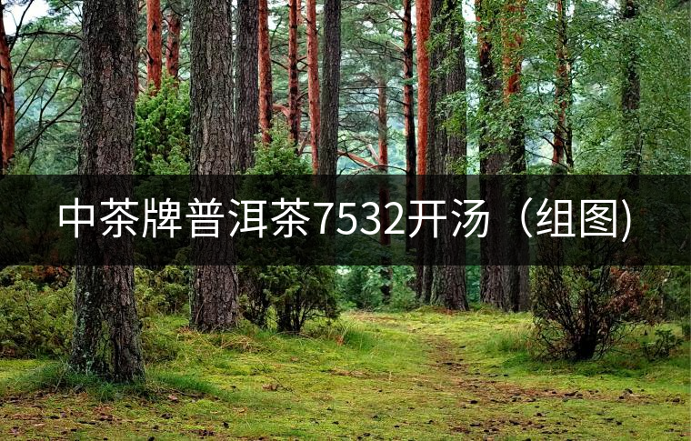 中茶牌普洱茶7532開湯（組圖)