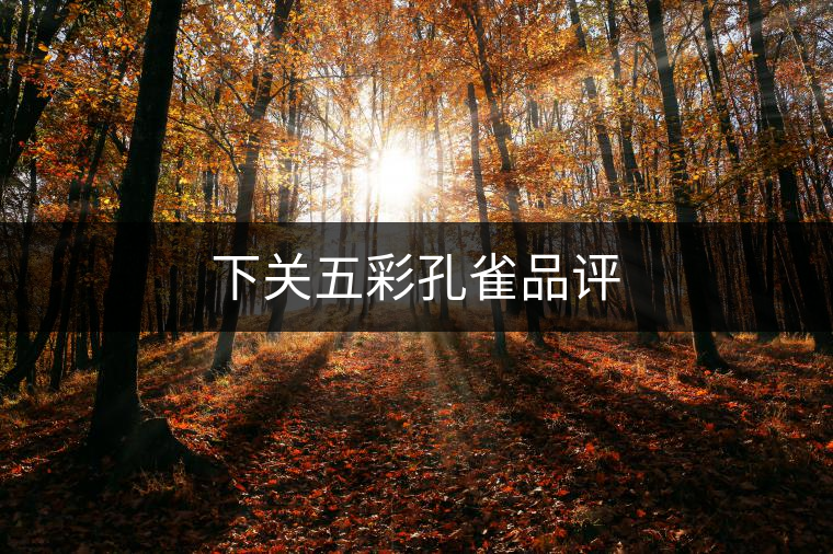 下關(guān)五彩孔雀品評(píng)
