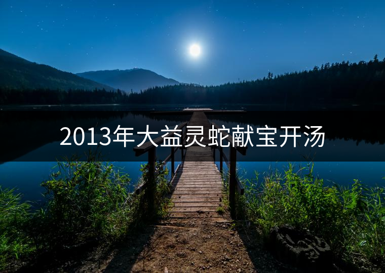 2013年大益靈蛇獻(xiàn)寶開(kāi)湯