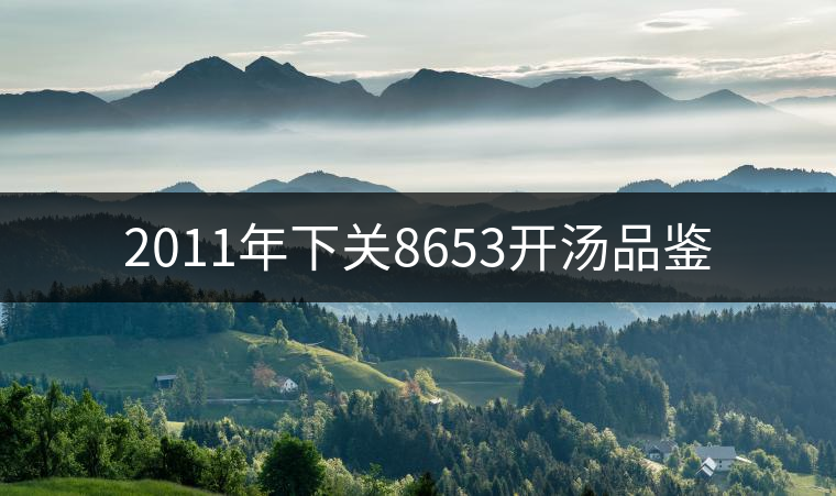 2011年下關(guān)8653開湯品鑒