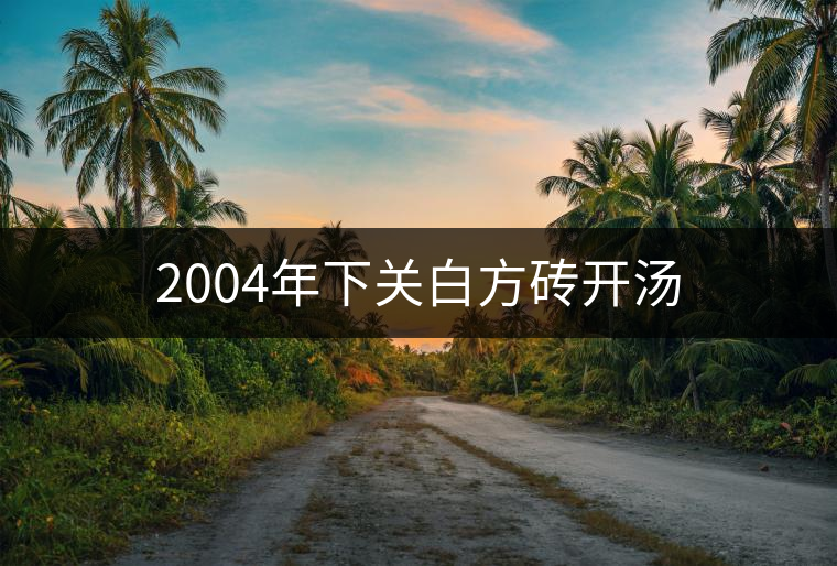 2004年下關(guān)白方磚開湯