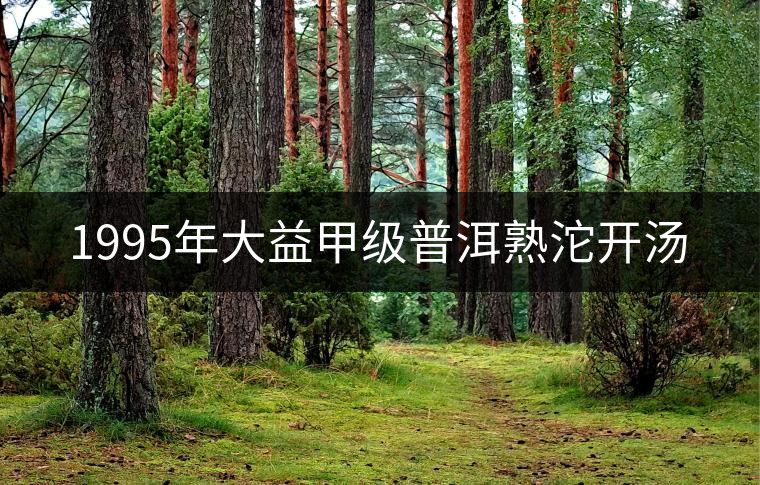 1995年大益甲級普洱熟沱開湯