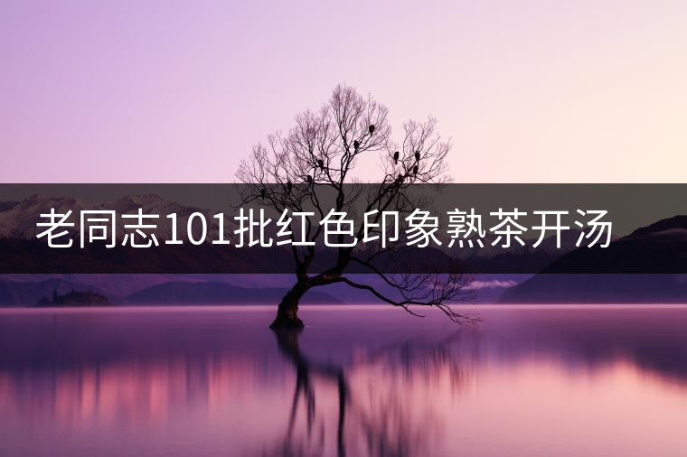 老同志101批紅色印象熟茶開湯品鑒