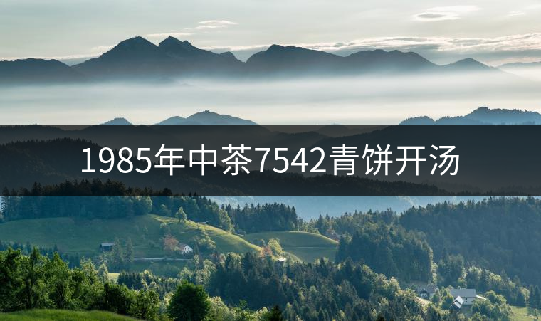 1985年中茶7542青餅開湯