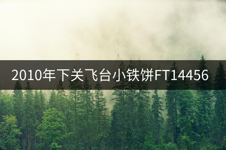 2010年下關(guān)飛臺(tái)小鐵餅FT14456開(kāi)湯 2010年下關(guān)飛臺(tái)小鐵餅FT14456開(kāi)湯