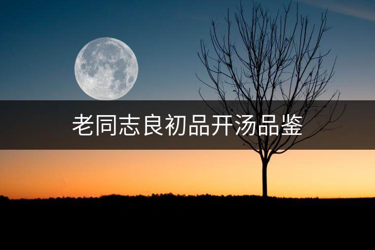 老同志良初品開湯品鑒 老同志良初品開湯品鑒