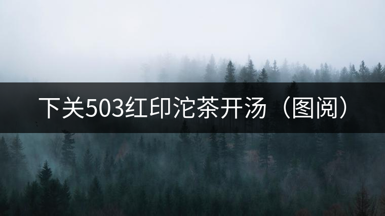 下關(guān)503紅印沱茶開湯（圖閱）
