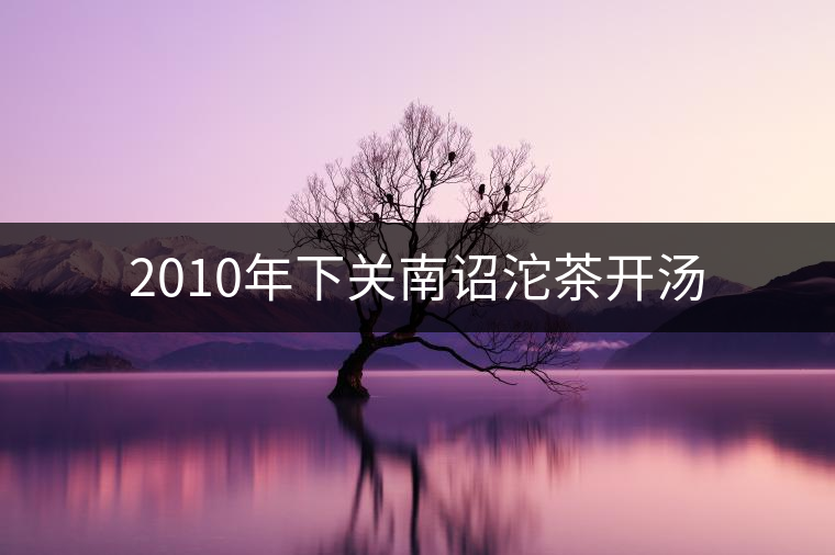 2010年下關(guān)南詔沱茶開(kāi)湯