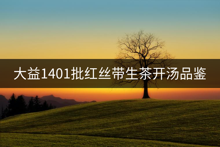 大益1401批紅絲帶生茶開湯品鑒 大益1401批紅絲帶生茶開湯品鑒