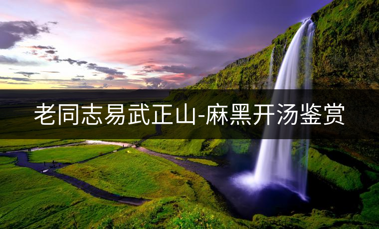 老同志易武正山-麻黑開(kāi)湯鑒賞