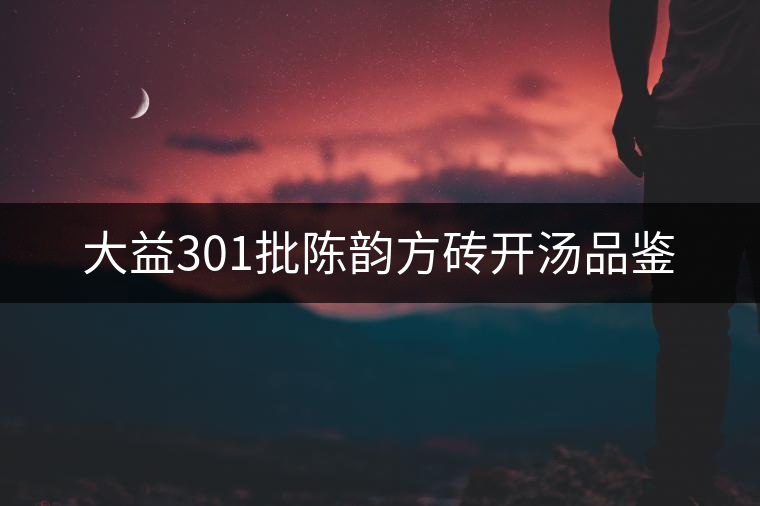 大益301批陳韻方磚開(kāi)湯品鑒 大益301批陳韻方磚開(kāi)湯品鑒
