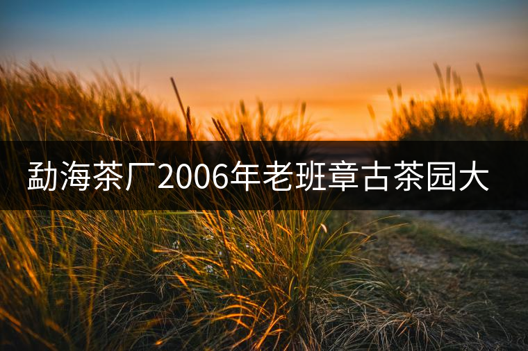 勐海茶廠2006年老班章古茶園大樹茶開湯 勐海茶廠2006年老班章古茶園大樹茶開湯