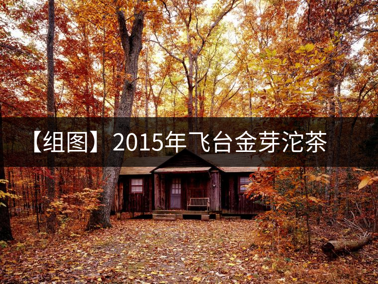 【組圖】2015年飛臺金芽沱茶開湯
