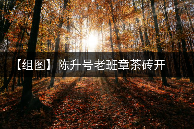 【組圖】陳升號老班章茶磚開湯