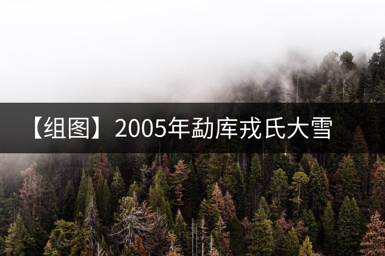【組圖】2005年勐庫戎氏大雪山開湯