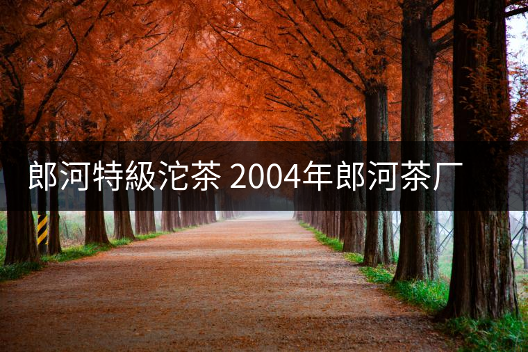 郎河特級(jí)沱茶 2004年郎河茶廠特級(jí)普洱茶沱茶