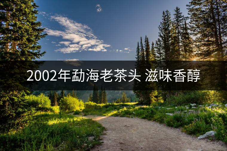 2002年勐海老茶頭 滋味香醇