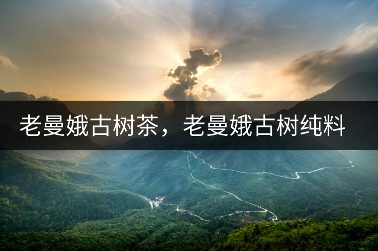 老曼娥古樹茶，老曼娥古樹純料生餅