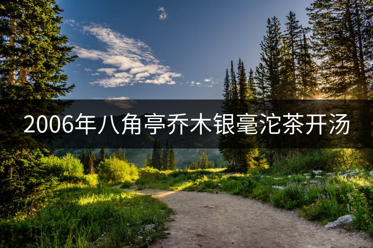 2006年八角亭喬木銀毫沱茶開湯 2006年八角亭喬木銀毫沱茶開湯
