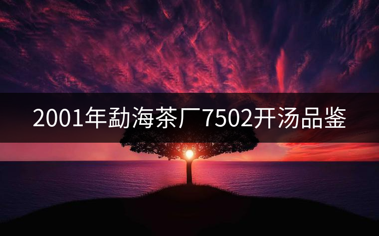 2001年勐海茶廠7502開湯品鑒