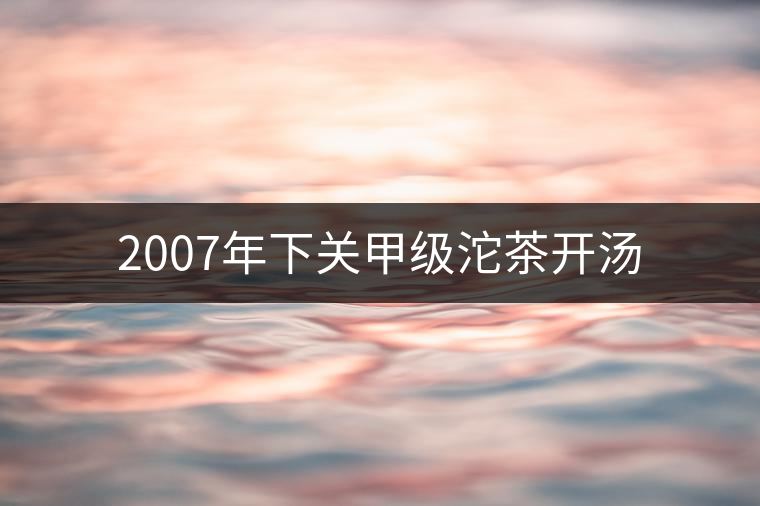 2007年下關(guān)甲級沱茶開湯