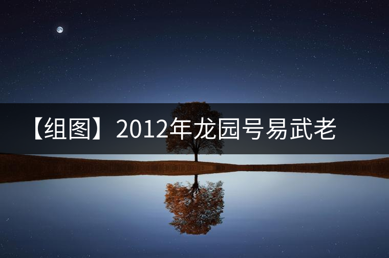 【組圖】2012年龍園號易武老樹餅茶開湯 【組圖】2012年龍園號易武老樹餅茶開湯