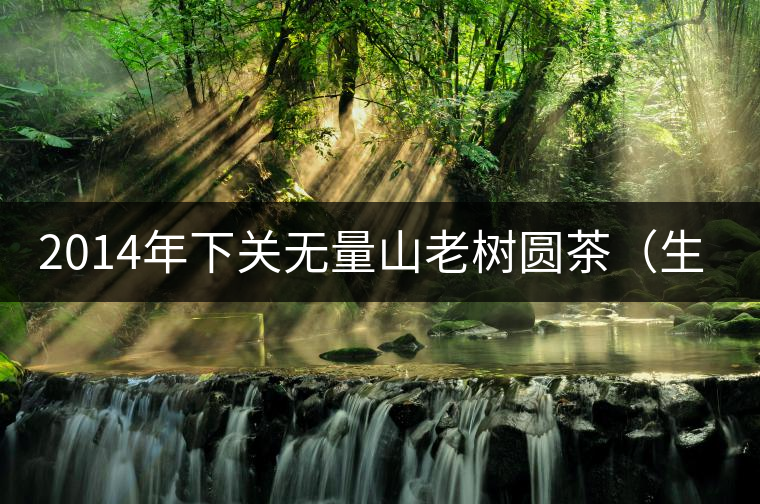2014年下關(guān)無量山老樹圓茶（生茶）開湯